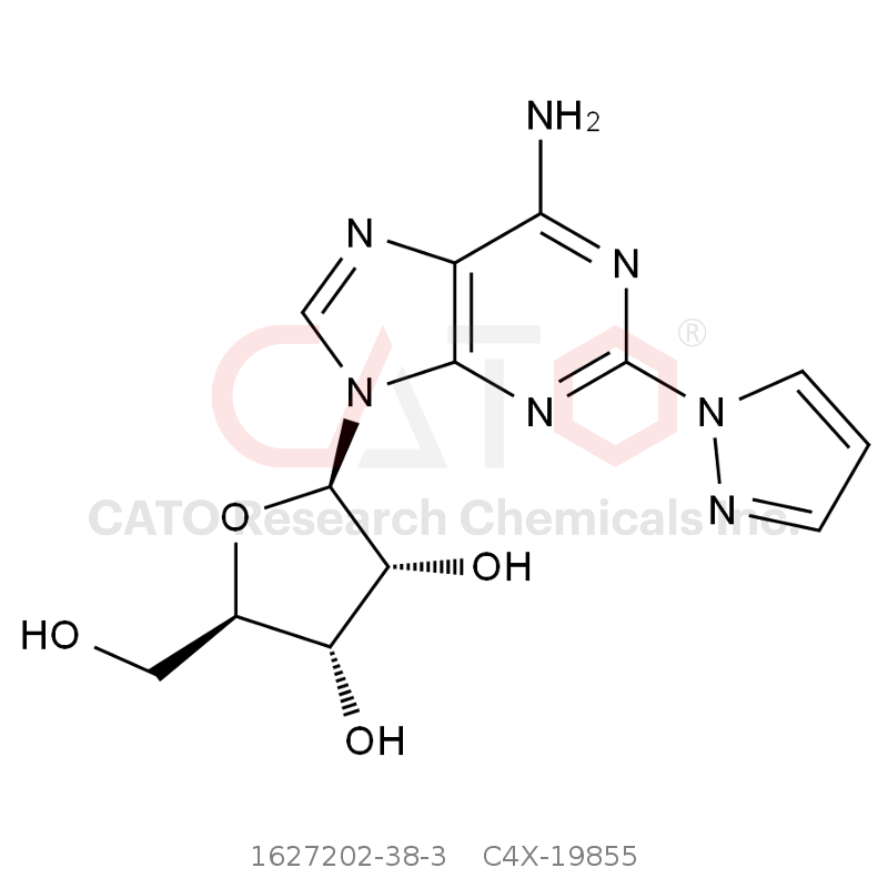 CAS No.:1627202-38-3,瑞加诺生杂质5