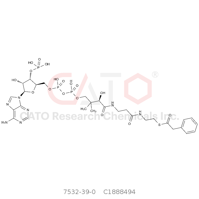 CAS No.:7532-39-0,苯乙酰辅酶A