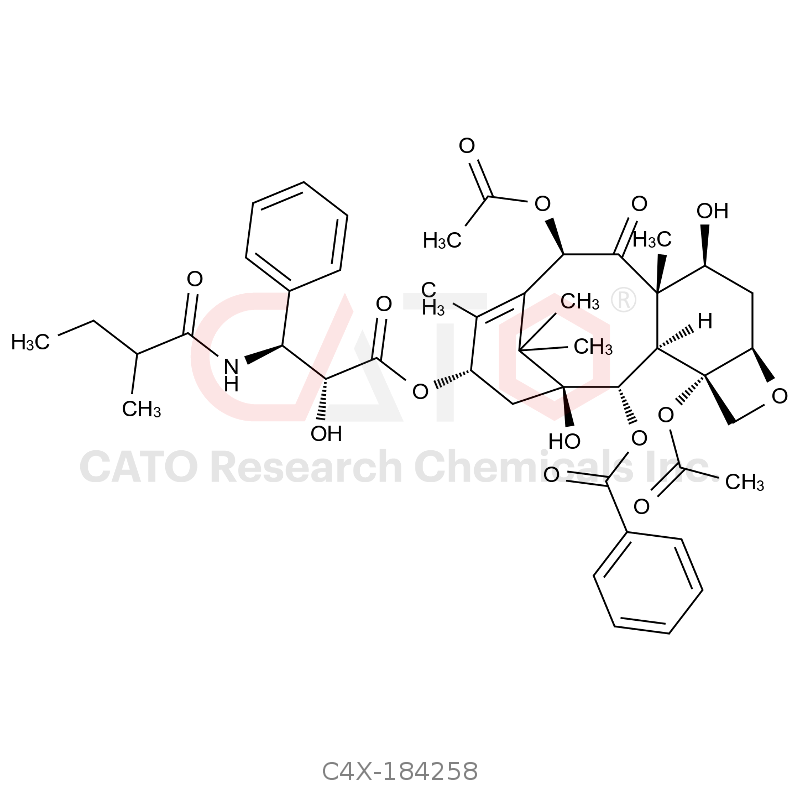 Paclitaxel Impurity 58