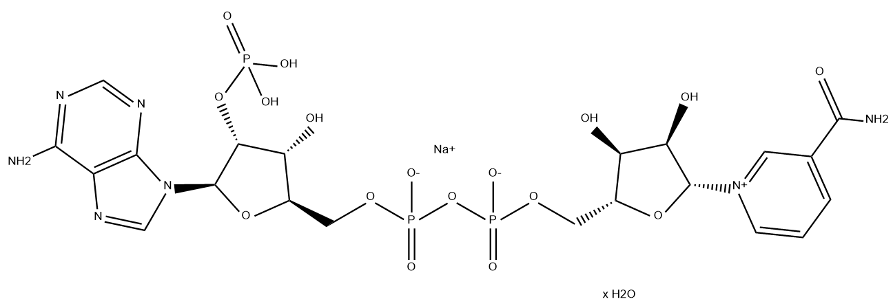 β-烟酰胺腺嘌呤二核苷酸磷酸钠盐水合物 β-Nicotinamide adenine dinucleotide phosphate sodium salt hydrate CAS 698999-85-8 结构式 Chemical Structure