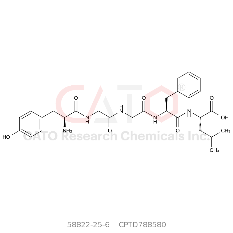 CAS No.:58822-25-6,亮氨酸脑啡肽