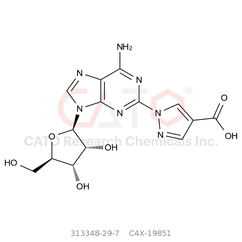 CAS No.:313348-29-7,瑞加诺生杂质1