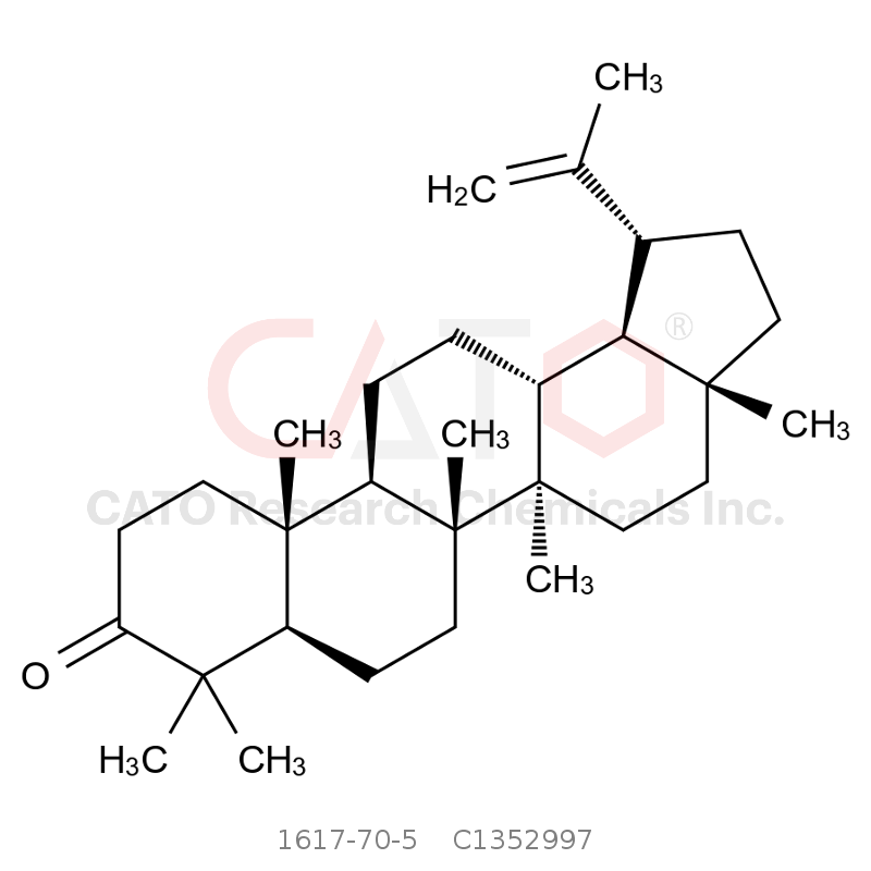 CAS No.:1617-70-5,羽扇烯酮