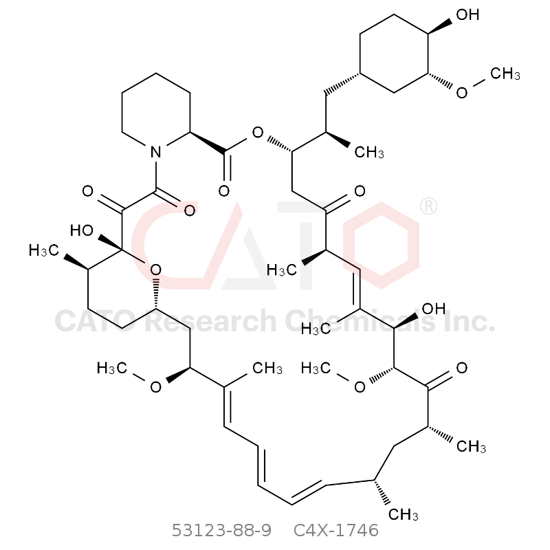 CAS No.:53123-88-9,雷帕霉素