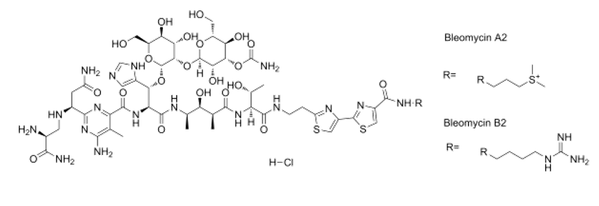 Bleomycin hydrochloride (mixture) CAS 67763-87-5 chemical structure