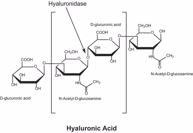 透明质酸酶 来源于牛睾丸，300-1,000 U/mg Type VIII, lyophilized powder, 300-1,000 U/mg CAS 37326-33-3 结构式 Chemical Structure