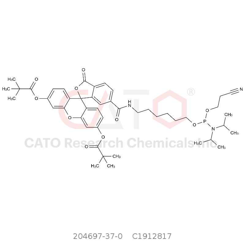 CAS No.:204697-37-0,6-FAM-亚磷酰胺