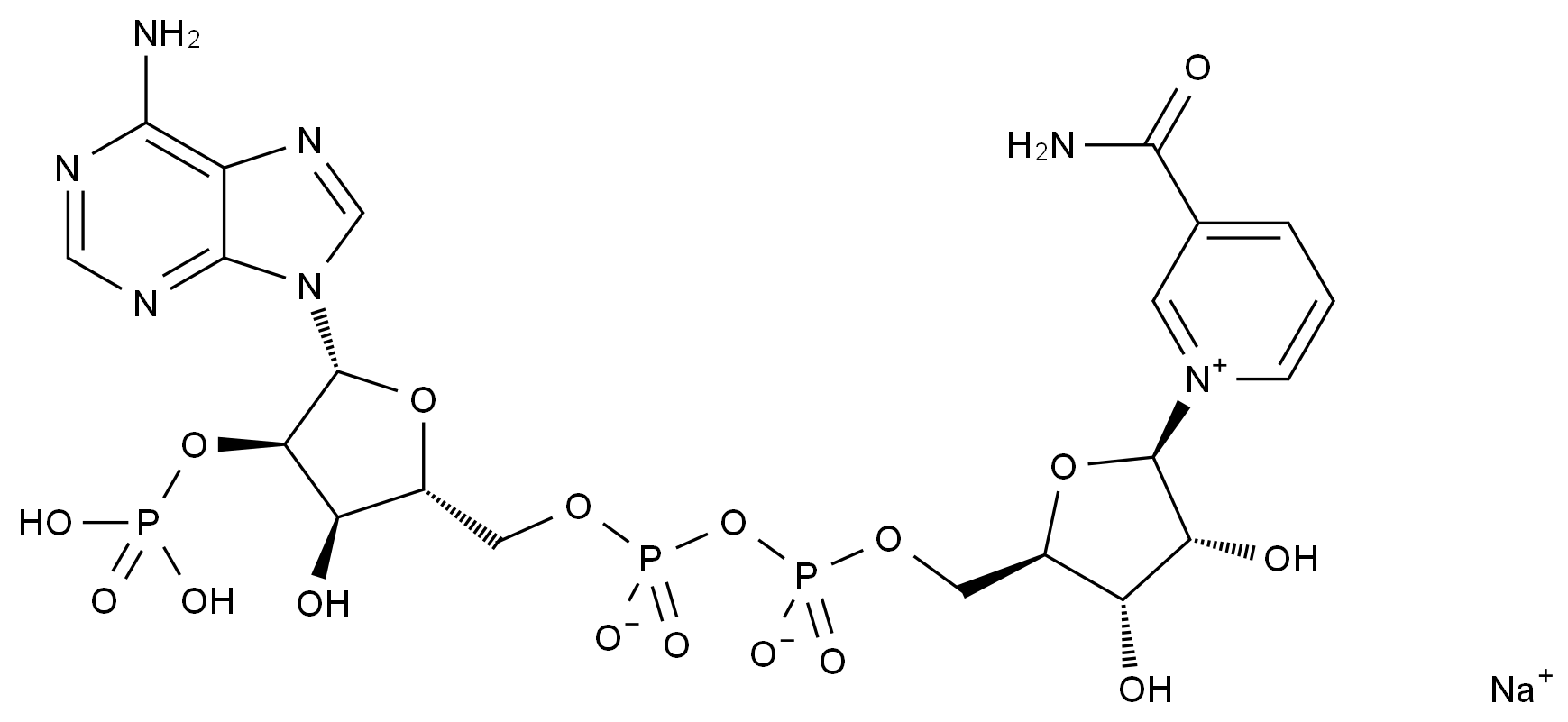 CAS No.:1184-16-3,NADP sodium salt