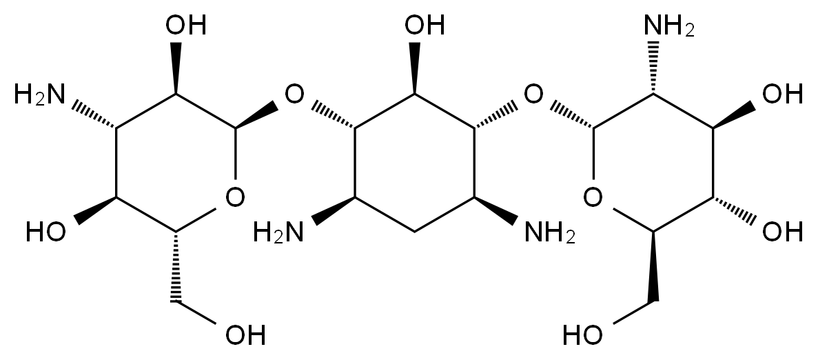 CAS No.:2280-32-2,Kanamycin C