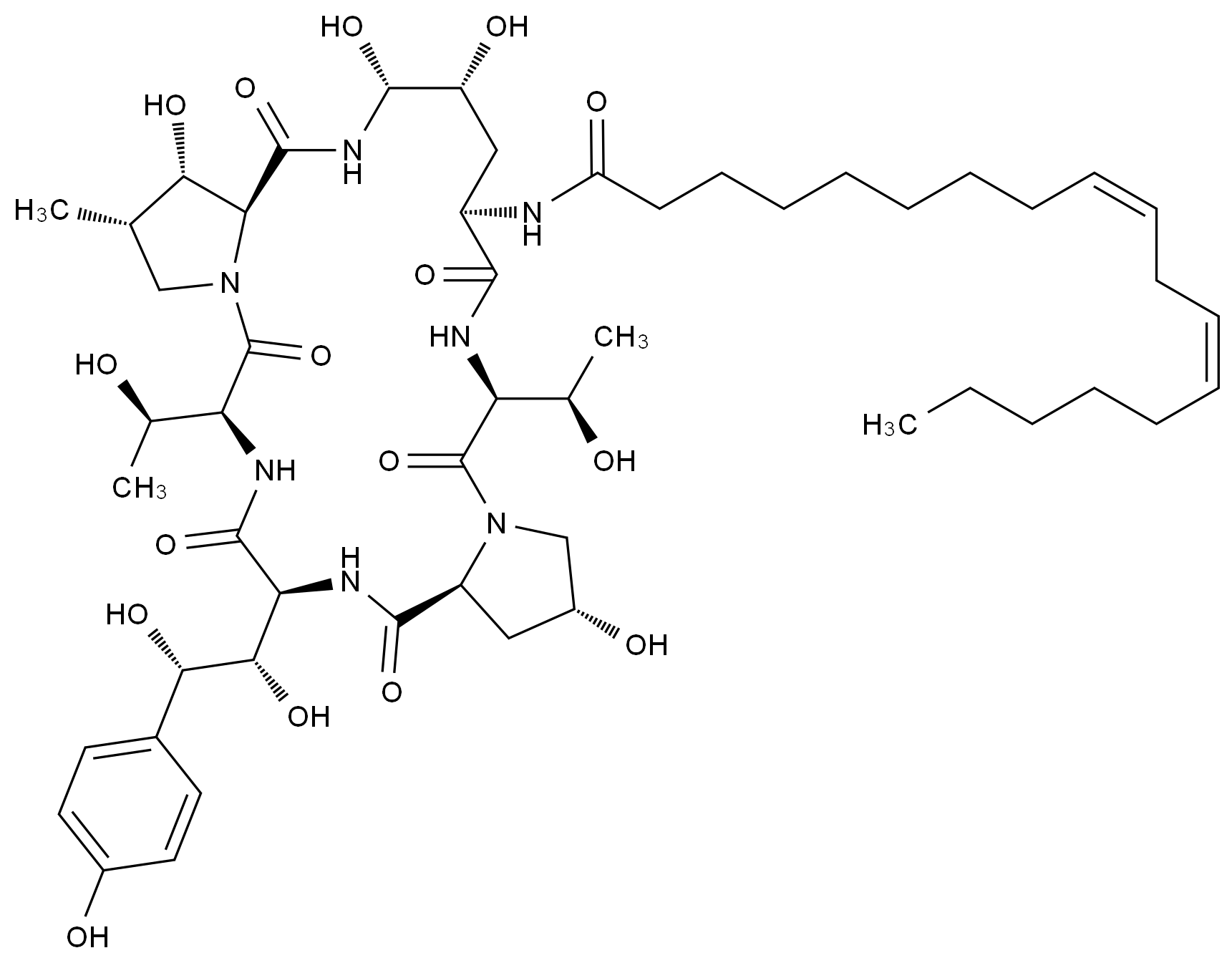 CAS No.:54651-05-7,棘白菌素B