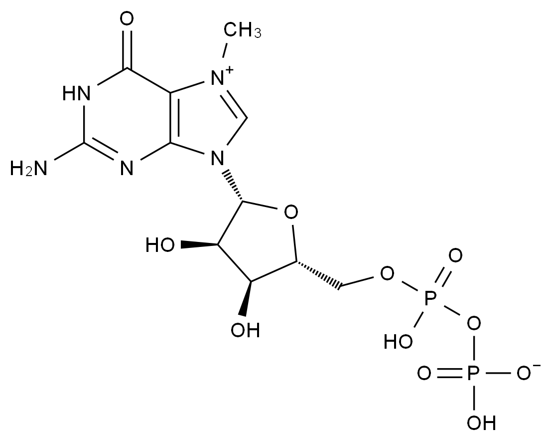 CAS No.:117723-13-4,Guanosine Impurity 3