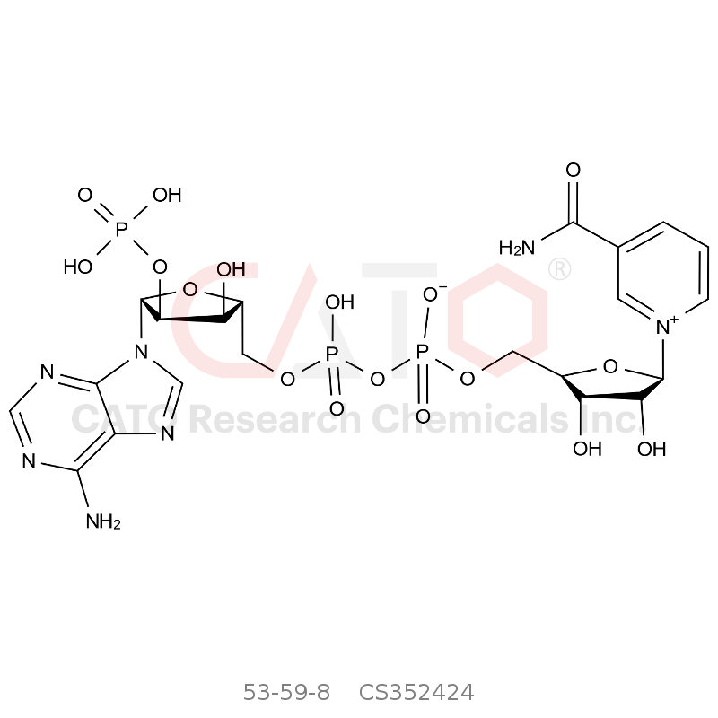 CAS No.:53-59-8,Triphosphopyridine nucleotide