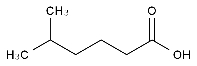 CAS No.:628-46-6,5-甲基己酸