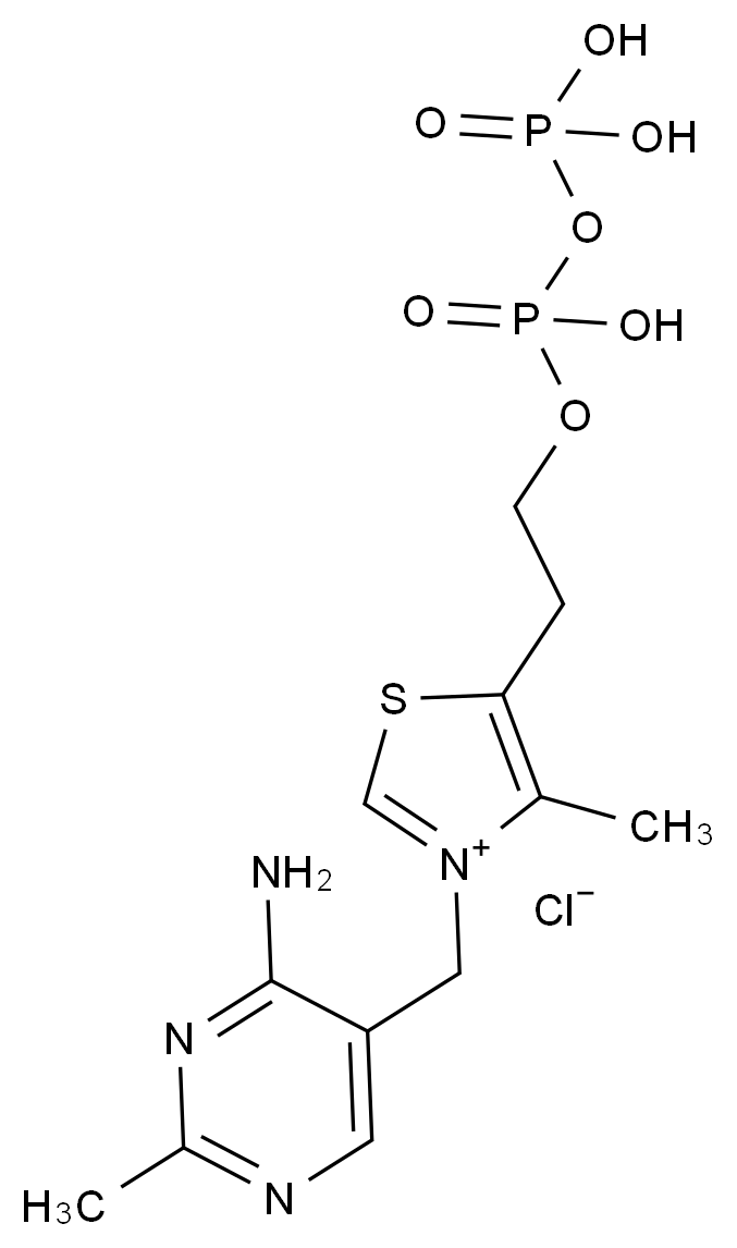CAS No.:154-87-0,焦磷酸硫胺素