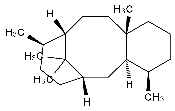 CAS No.:1605-68-1,紫杉烷