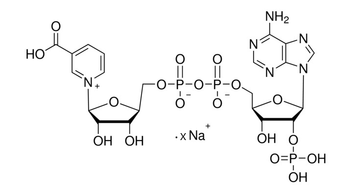 β-NAADP · x sodium salt CAS 5502-96-5 chemical structure