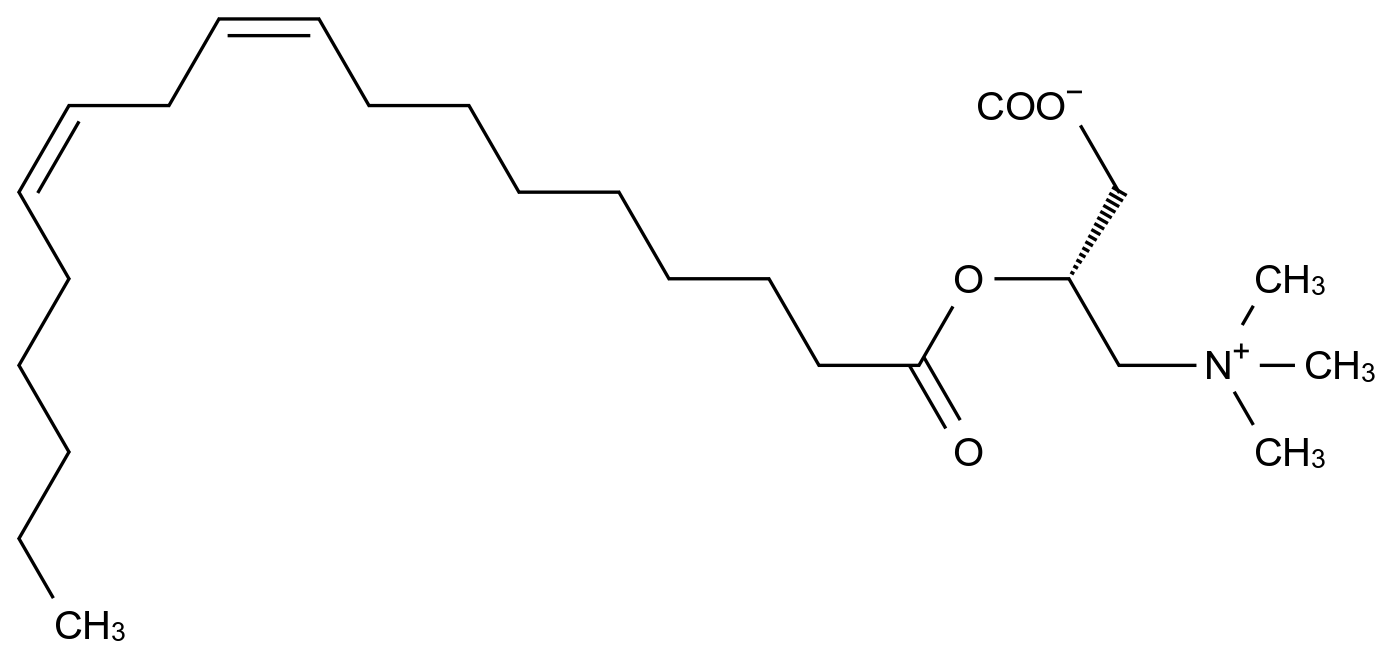CAS No.:36816-10-1,亚油酰基肉碱