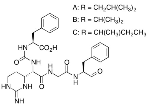 CAS No.:9076-44-2,Chymostatin (microbial product)