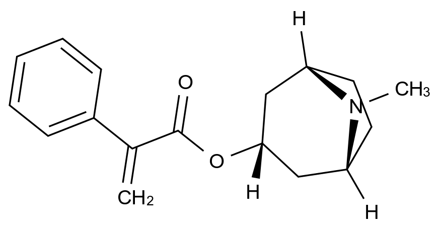 CAS No.:500-55-0,Atropine EP Impurity A