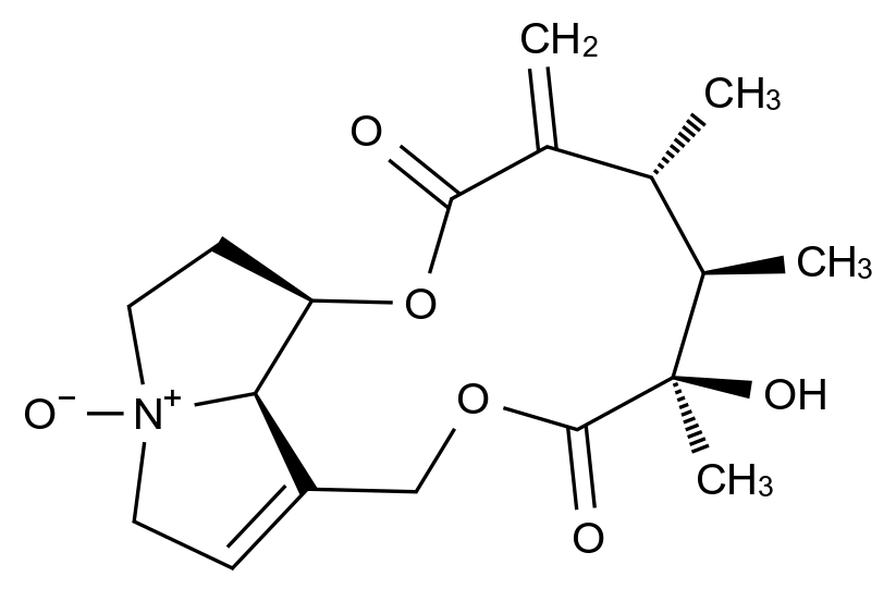 CAS No.:101687-28-9,春千里光碱 N-氧化物