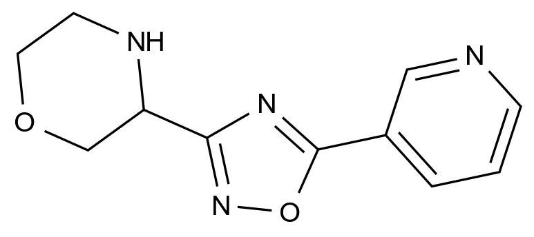  3-(5-(Pyridin-3-yl)-1,2,4-oxadiazol-3-yl)morpholine CAS 1707571-75-2 结构式 Chemical Structure