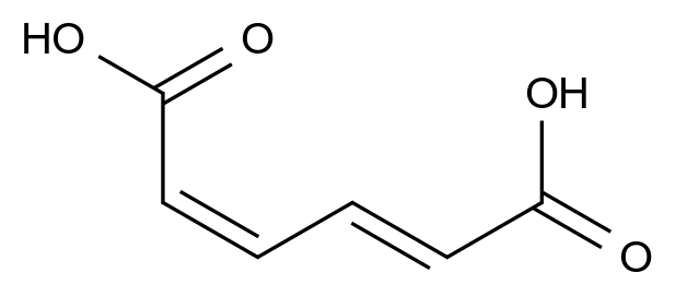 (2Z,4E)-Hexa-2,4-dienedioic acid CAS 1119-73-9 chemical structure
