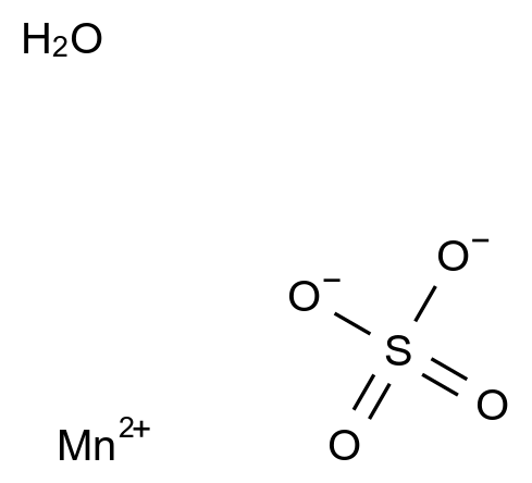  Methoxyphenamine CAS 10034-96-5 结构式 Chemical Structure