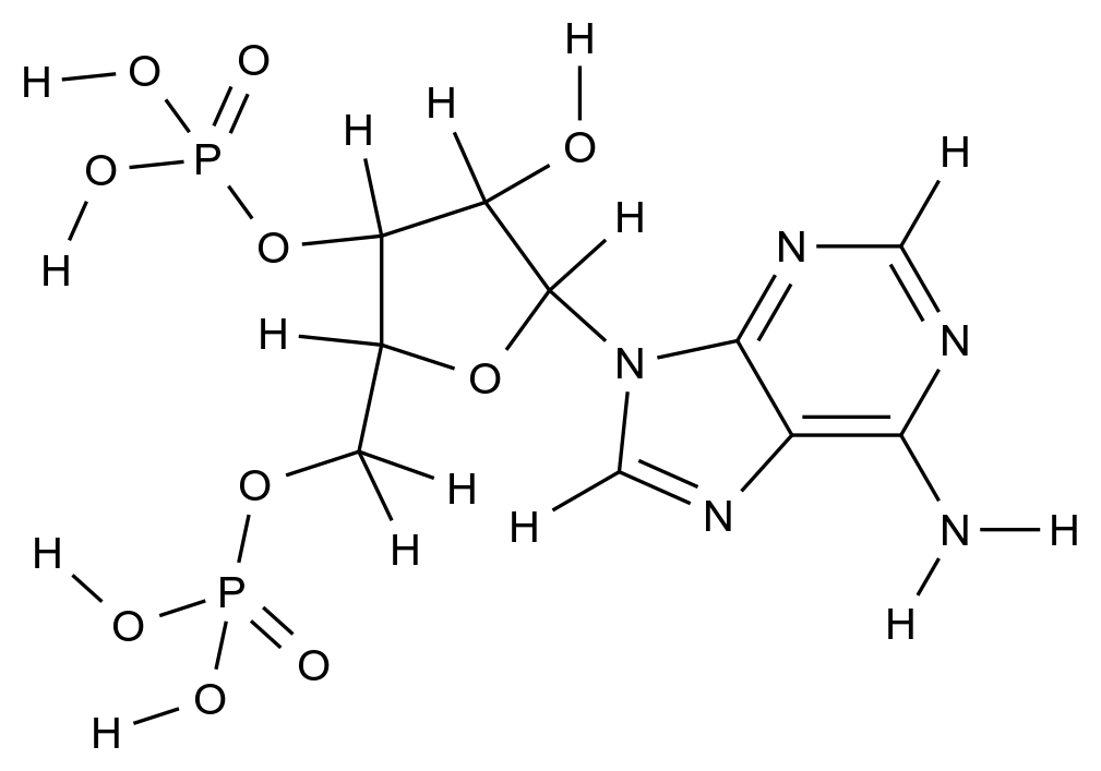 CAS No.:1053-73-2,