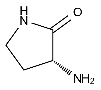  (R)-3-Aminopyrrolidin-2-one CAS 121010-86-4 结构式 Chemical Structure
