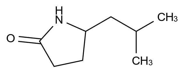 [124575-32-2](5R)-5-(2-methylpropyl)pyrrolidin-2-one