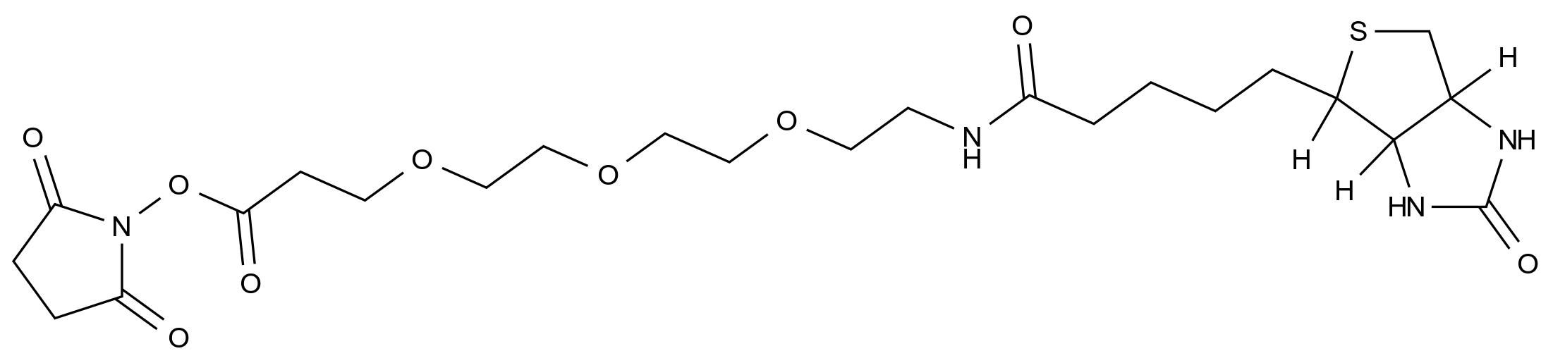 CAS No.:1253286-56-4,(+)-Biotin-PEG3-NHS Ester