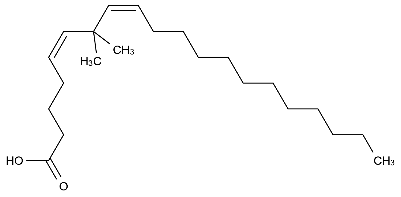 (5Z,8Z)-7,7-Dimethylicosa-5,8-dienoic acid CAS 89560-01-0 chemical structure