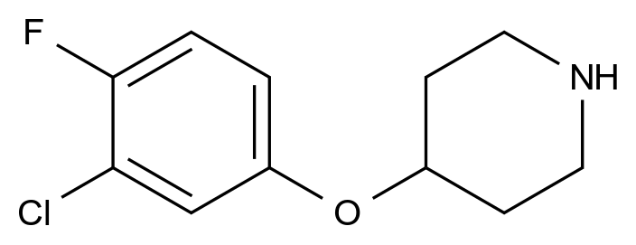  4-(3-Chloro-4-fluorophenoxy)piperidine CAS 367501-00-6 结构式 Chemical Structure