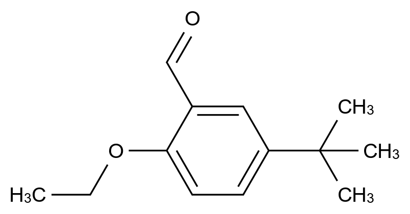  5-(Tert-butyl)-2-ethoxybenzaldehyde CAS 681443-01-6 结构式 Chemical Structure