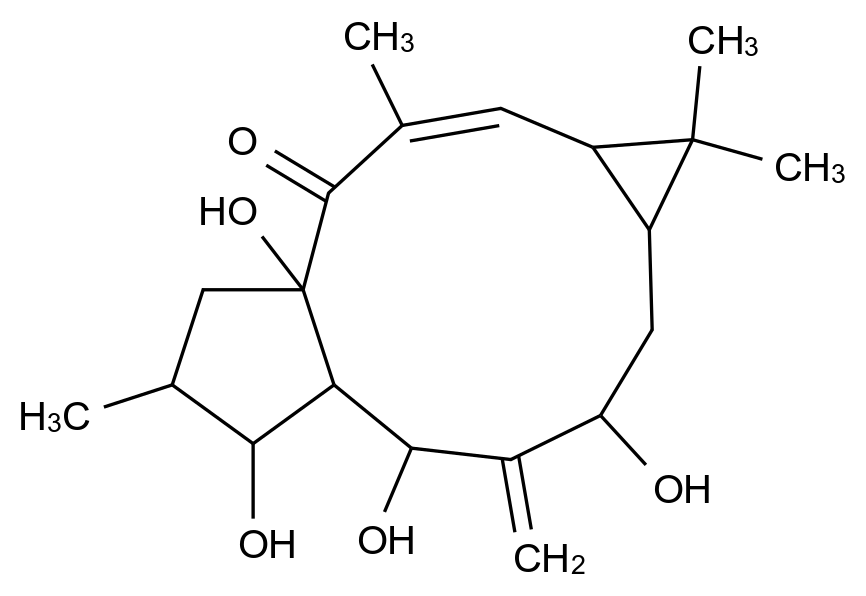 7β-Hydroxylathyrol CAS 34208-98-5 chemical structure