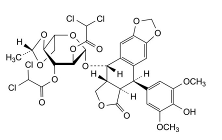 CAS No.:260974-95-6,Etoposide EP Impurity O