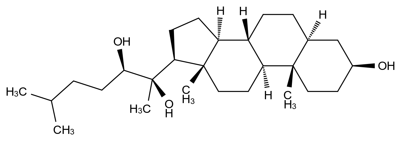 CAS No.:53448-11-6,20(R), 22(R)-Dihydroxy Cholesterol