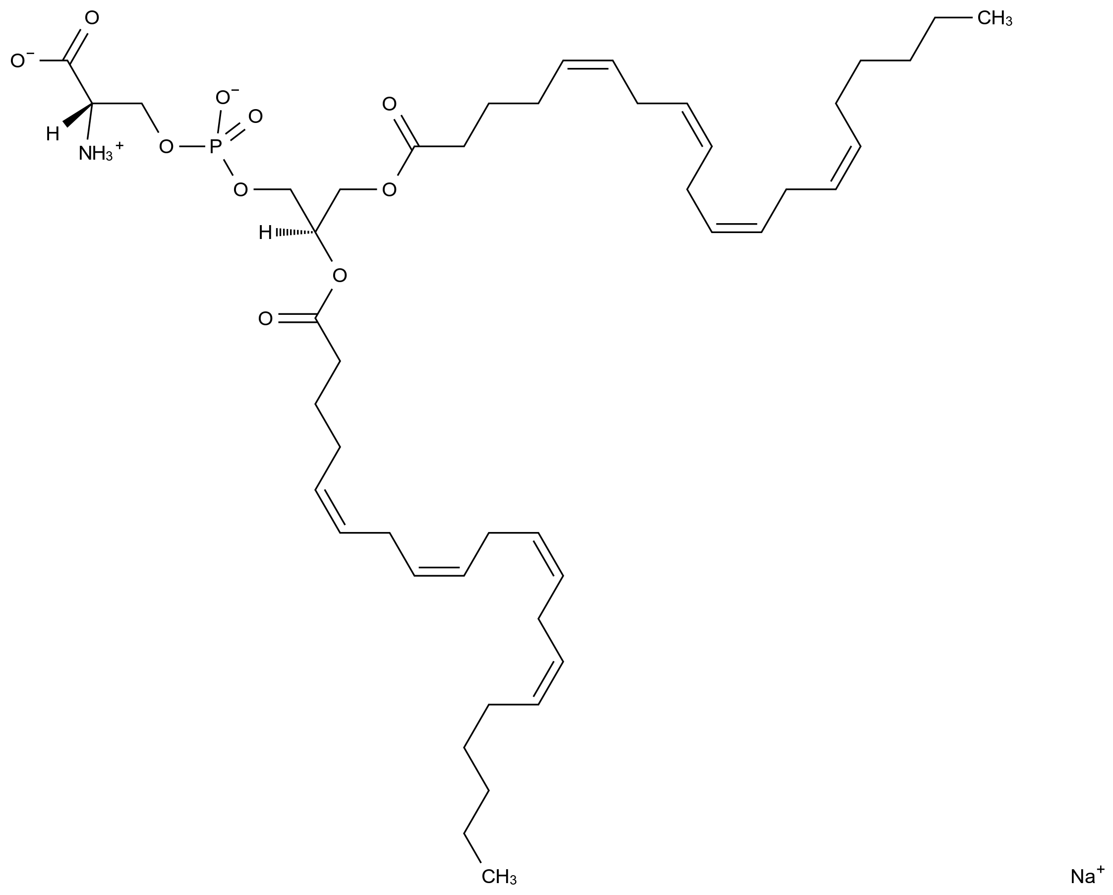  1,​2-​Diarachidonoyl-​sn-​glycero-​3-​phospho-​l-​serine Sodium Salt CAS 474967-17-4 结构式 Chemical Structure