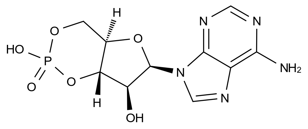 CAS No.:32465-18-2,环磷酸腺苷杂质1