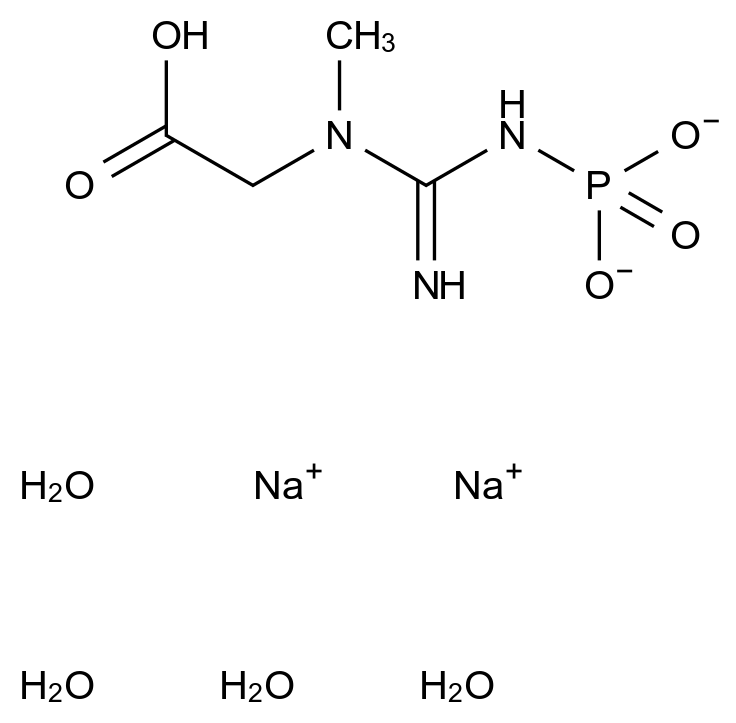 CAS No.:71519-72-7,71519-72-7
C05FJ8ZUCS
Phosphocreatine disodium tetrahydrate
UNII-C05FJ8ZUCS
Glycine, N-(imino(phosphonoamino)methyl)-N-methyl-, disodium salt, tetrahydrate
Glycine, N-(imino(phosphonoamino)methyl)-N-methyl-, sodium salt, hydrate (1:2:4)
Phosphocreatine sodium salt tetrahydrate
Sodium creatine phosphate
