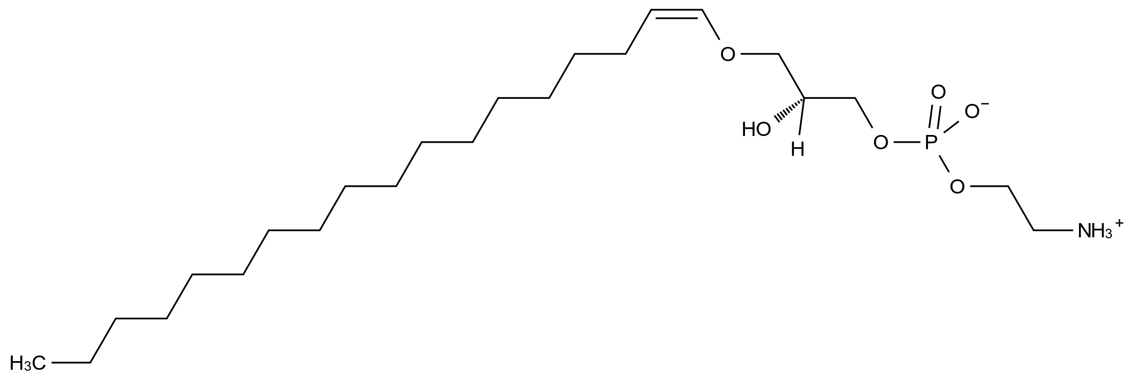 CAS No.:475995-55-2,Brain Lyso PE