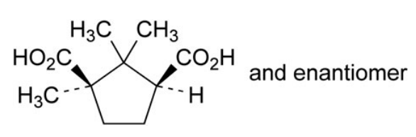Levocarnitine EP Impurity B