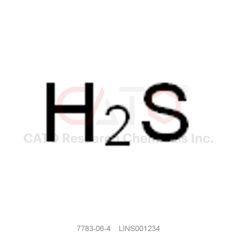 CAS No.:7783-06-4,Hydrogen Sulfide