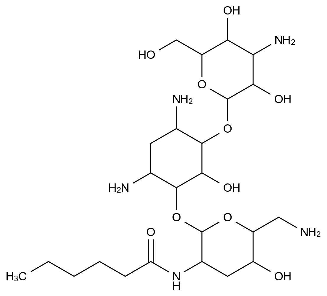 Tobramycin Impurity 20