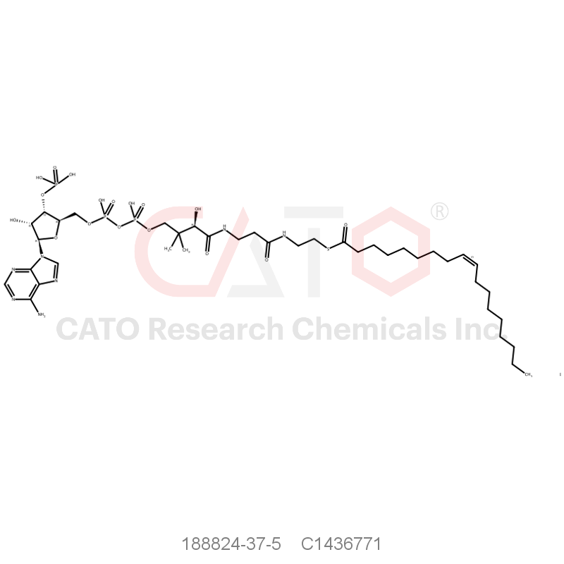 CAS No.:188824-37-5,Oleoyl coenzyme A (lithium)
