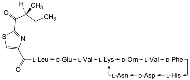 杆菌肽杂质K Bacitracin Impurity K CAS 144572-52-1 结构式 Chemical Structure