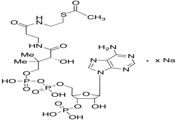 乙酰辅酶A钠盐 Acetyl Coenzyme A Sodium SaltDISCONTINUED PLEASE SEE A172130 CAS 918149-33-4 结构式 Chemical Structure