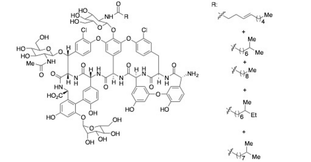 替考拉宁 A2（2-1、2-2、2-3、2-4 和 2-5 的混合物） Teicoplanin A2 (Mixture of 2-1, 2-2, 2-3, 2-4 and 2-5) CAS 61036-64-4 结构式 Chemical Structure